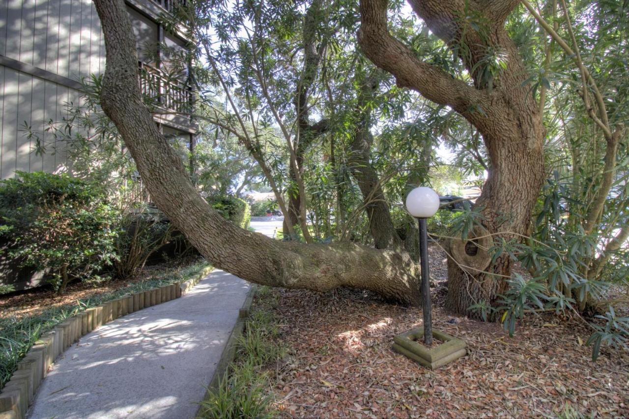 Mariner'S Cove - A 202 Vila Myrtle Beach Exterior foto